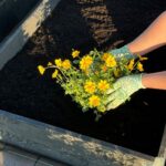 Garden bed