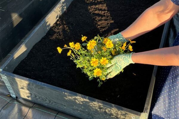 Garden bed